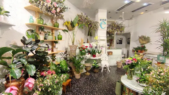 Floristeria Enredadas - Zaragoza