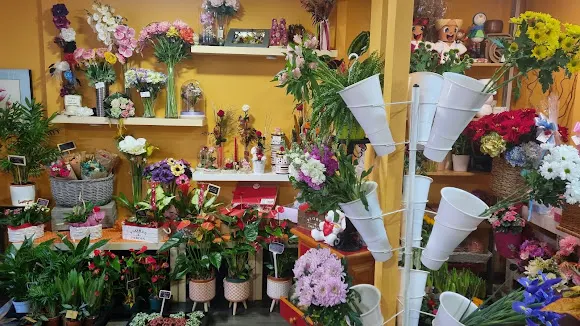 Floristería ROSSIFLOR - Zaragoza