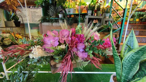Floristería - Zaragoza