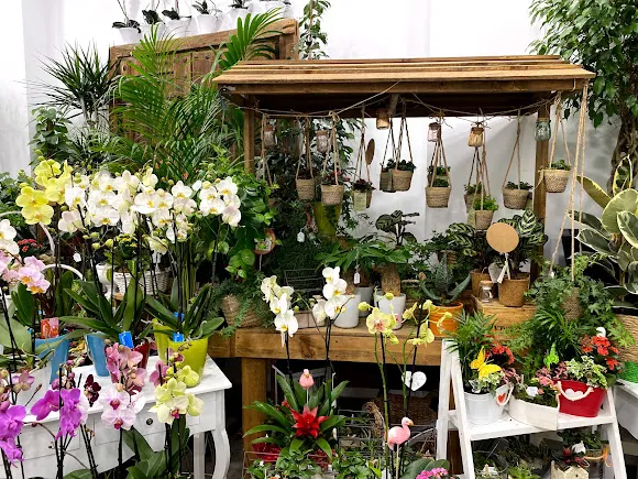 Floristas García - Zaragoza