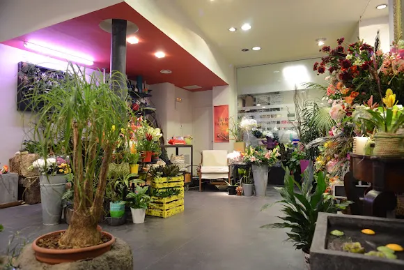 Floristería La Moderna - Zaragoza